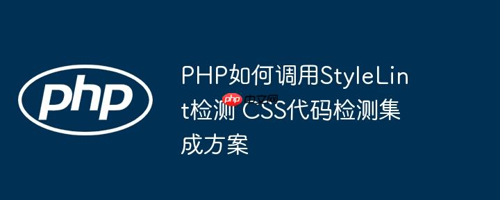 PHP如何调用StyleLint检测 CSS代码检测集成方案
