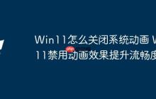 Win11怎么關閉系統(tǒng)動畫 Win11禁用動畫效果提升流暢度