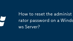 Wie setze das Administratorkennwort auf einem Windows -Server zurück?