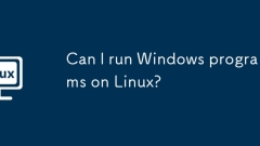 Can I run Windows programs on Linux?
