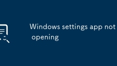 Windows settings app not opening