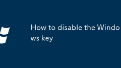 So deaktivieren Sie den Windows -Schlüssel