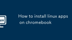 How to install linux apps on chromebook