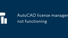 AutoCAD license manager not functioning