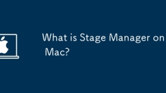 Was ist Bühnenmanager auf Mac?