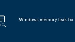 Windows memory leak fix