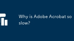 Why is Adobe Acrobat so slow?