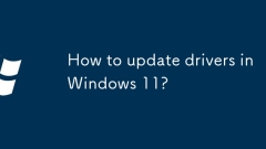 Wie aktualisiere ich Treiber in Windows 11?