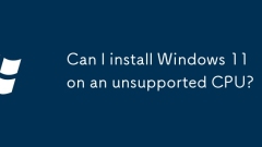 Kann ich Windows 11 auf einer nicht unterstützten CPU installieren?