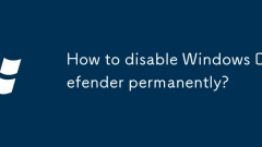 Wie deaktiviere ich Windows Defender dauerhaft?