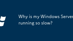 Warum l?uft mein Windows -Server so langsam?