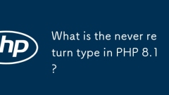 PHP 8.1中的永無返回類型是什麼?