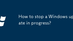 Wie stoppt ich ein Windows -Update in Arbeit?