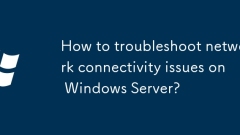 Wie k?nnen Probleme mit Netzwerkkonnektivit?t auf Windows Server behoben werden?