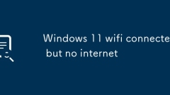 Windows 11 wifi connected but no internet