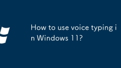 How to use voice typing in Windows 11?