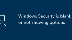 Windows Security is blank or not showing options