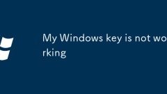 My Windows key is not working
