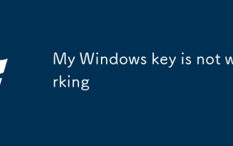 My Windows key is not working