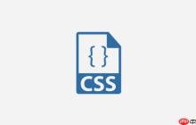 CSS怎么設(shè)置按鈕懸停？CSS按鈕交互效果教程