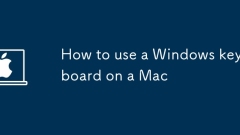 So verwenden Sie eine Windows -Tastatur auf einem Mac