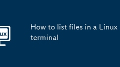 So listen Sie Dateien in einem Linux -Terminal auf
