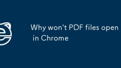 Why won't PDF files open in Chrome