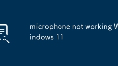 microphone not working Windows 11