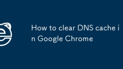 How to clear DNS cache in Google Chrome
