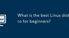 Was ist die beste Linux -Distribution für Anf?nger?