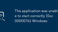 The application was unable to start correctly (0xc000007b) Windows