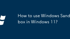 How to use Windows Sandbox in Windows 11?