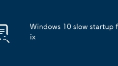 Windows 10 slow startup fix