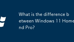 What is the difference between Windows 11 Home and Pro?