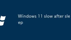 Windows 11 slow after sleep