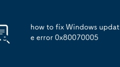 how to fix Windows update error 0x80070005