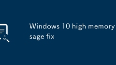 Windows 10 high memory usage fix
