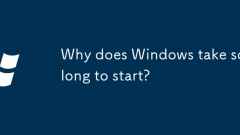 Why does Windows take so long to start?