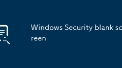 Windows Security blank screen
