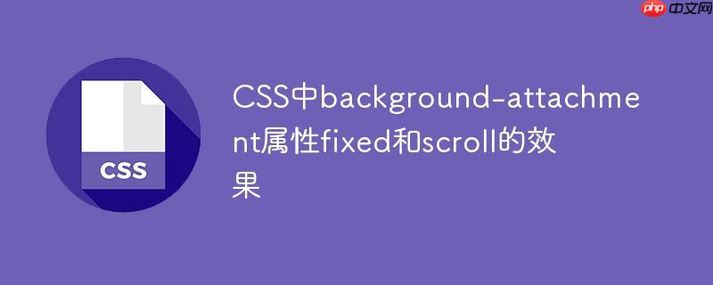 CSS中background-attachment属性fixed和scroll的效果-小浪学习网