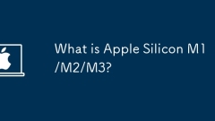 What is Apple Silicon M1/M2/M3?