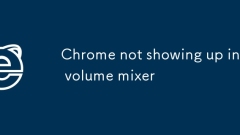 Chrome not showing up in volume mixer