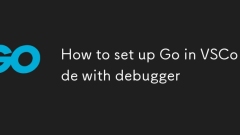 How to set up Go in VSCode with debugger