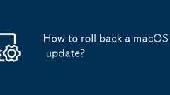 How to roll back a macOS update?