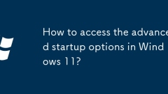 How to access the advanced startup options in Windows 11?