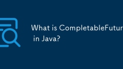 Qu'est-ce que l'achèvement de la fin de Java?