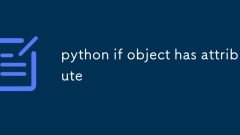 python如果对象具有属性