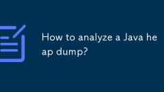 How to analyze a Java heap dump?