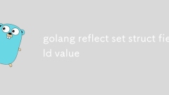 golang reflect set struct field value