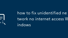 how to fix unidentified network no internet access Windows